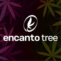 Encanto Tree - Aguadilla