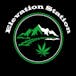 Elevation Station