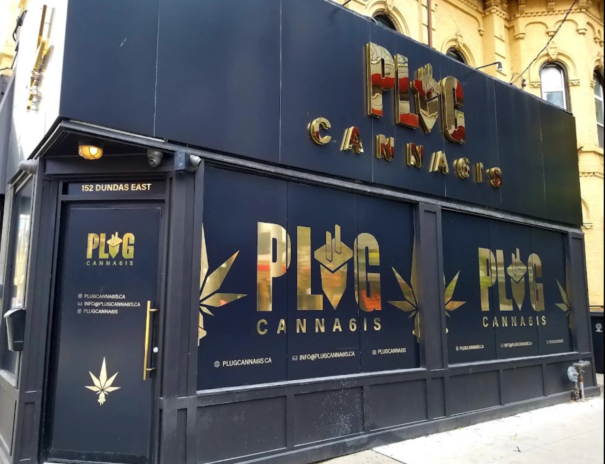 Plug Canna6is - Dundas