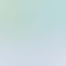 Burlington Cannabis Co.