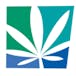 Burlington Cannabis Co.