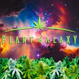 Plant Galaxy
