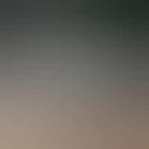 The Syndicate - Desert Hot Springs