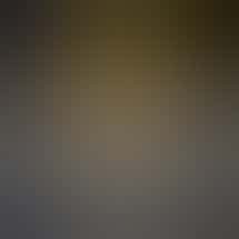 The Bakery Cannabis Store