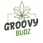 GroovyBudz Dispensary (Moore)