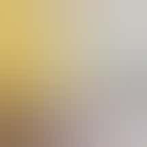 Violet Wild Cannabis Co.