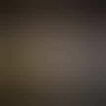 Bath Cannabis Company