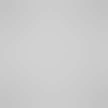 High Profile - Leonard