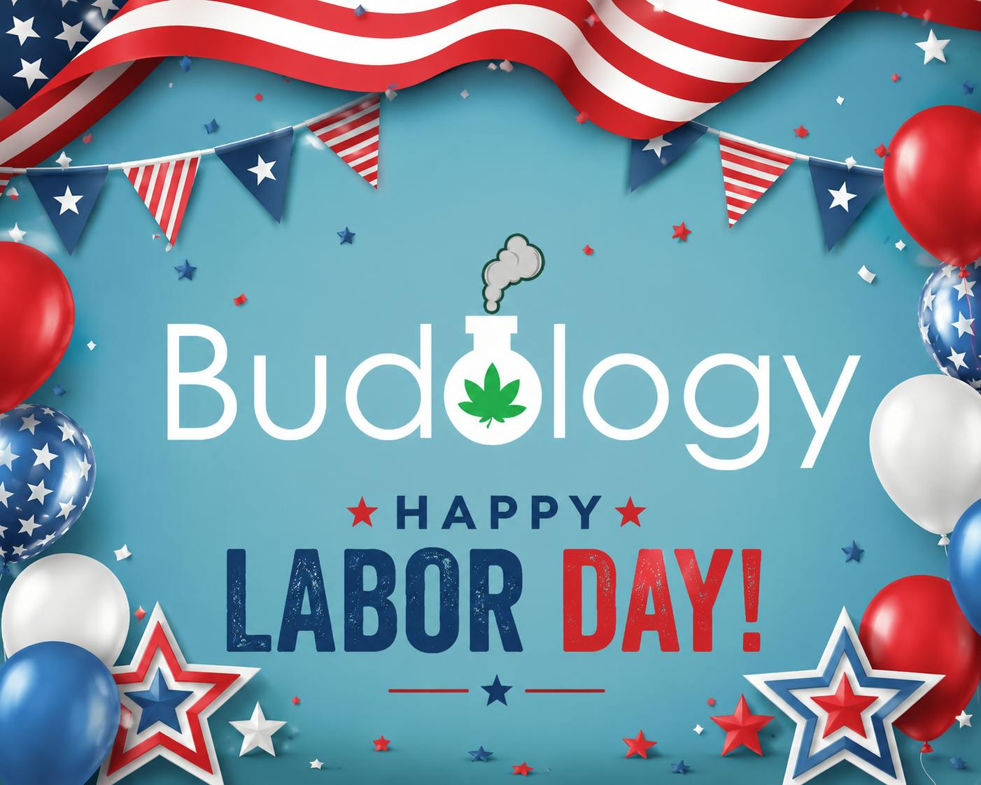 Budology