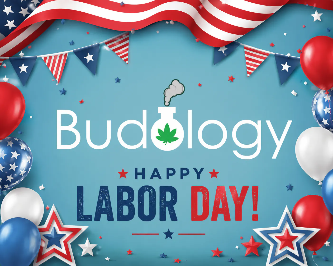 Budology