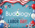 Budology