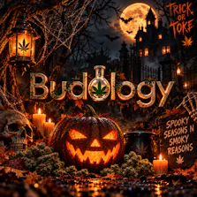 Budology