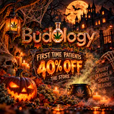 Budology