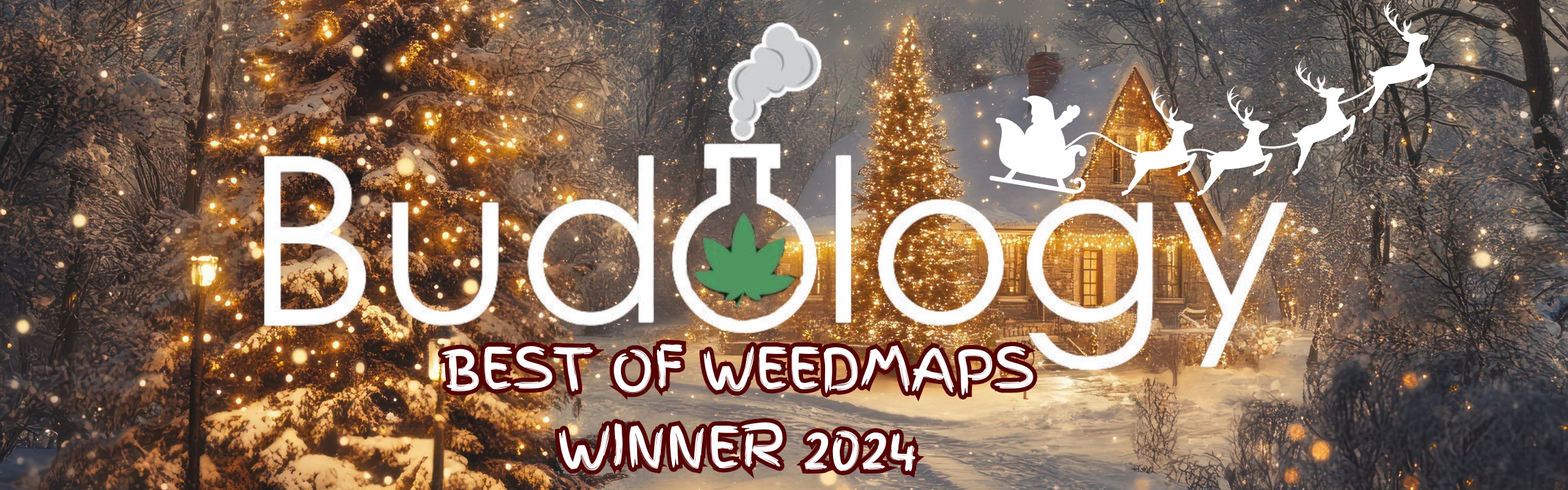 Budology listing banner