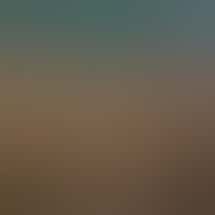 Jailhouse Cannabis - Mancelona