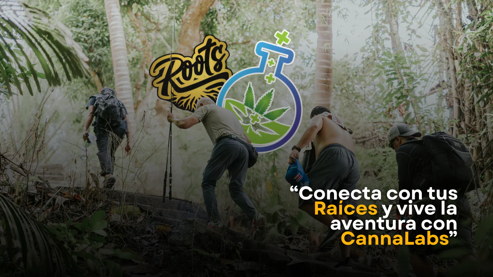 Cannalabs - Guaynabo listing banner