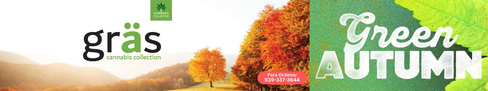 Gräs Cannabis Collection listing banner