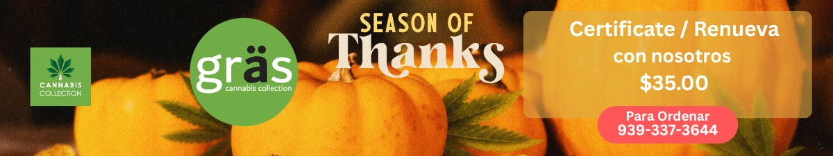 Gräs Cannabis Collection listing banner