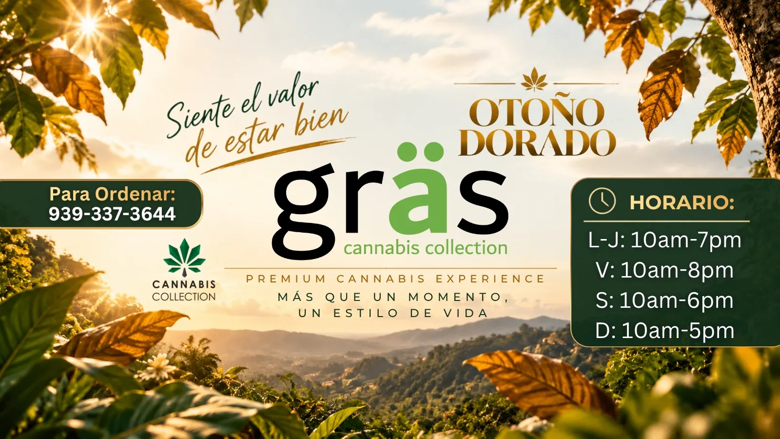 Gräs Cannabis Collection listing banner