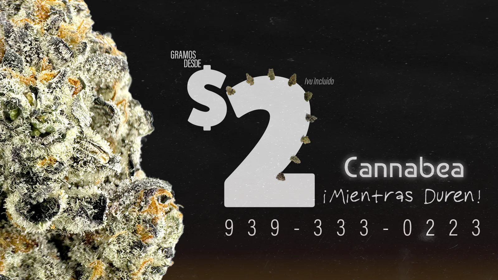 Cannabea Dispensary listing banner
