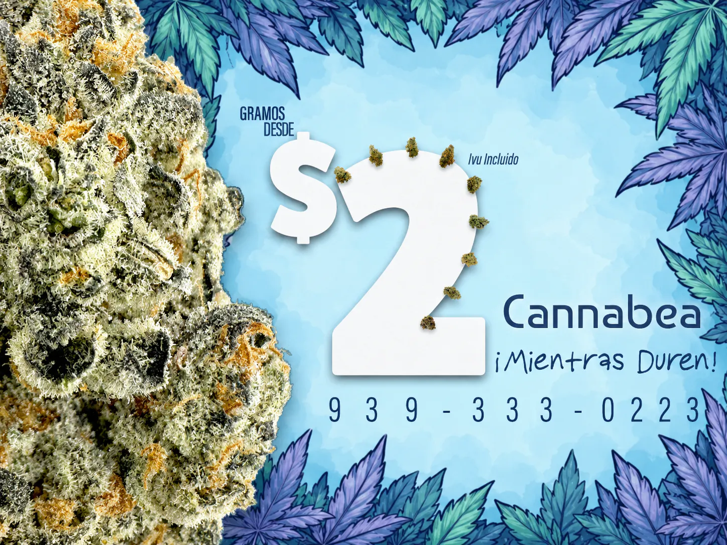 Cannabea Dispensary listing banner