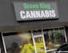 Green King Cannabis