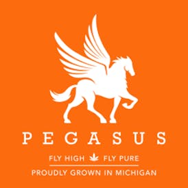 Pegasus “Fly High Fly Pure”