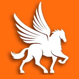 Pegasus “Fly High Fly Pure”