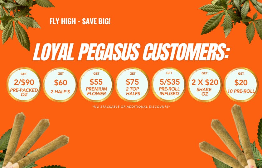 Pegasus “Fly High Fly Pure” listing banner