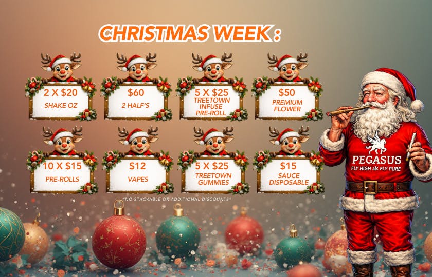 Pegasus “Fly High Fly Pure” listing banner