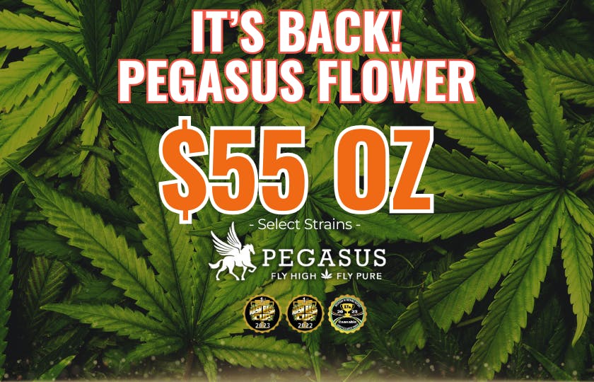 Pegasus “Fly High Fly Pure” listing banner