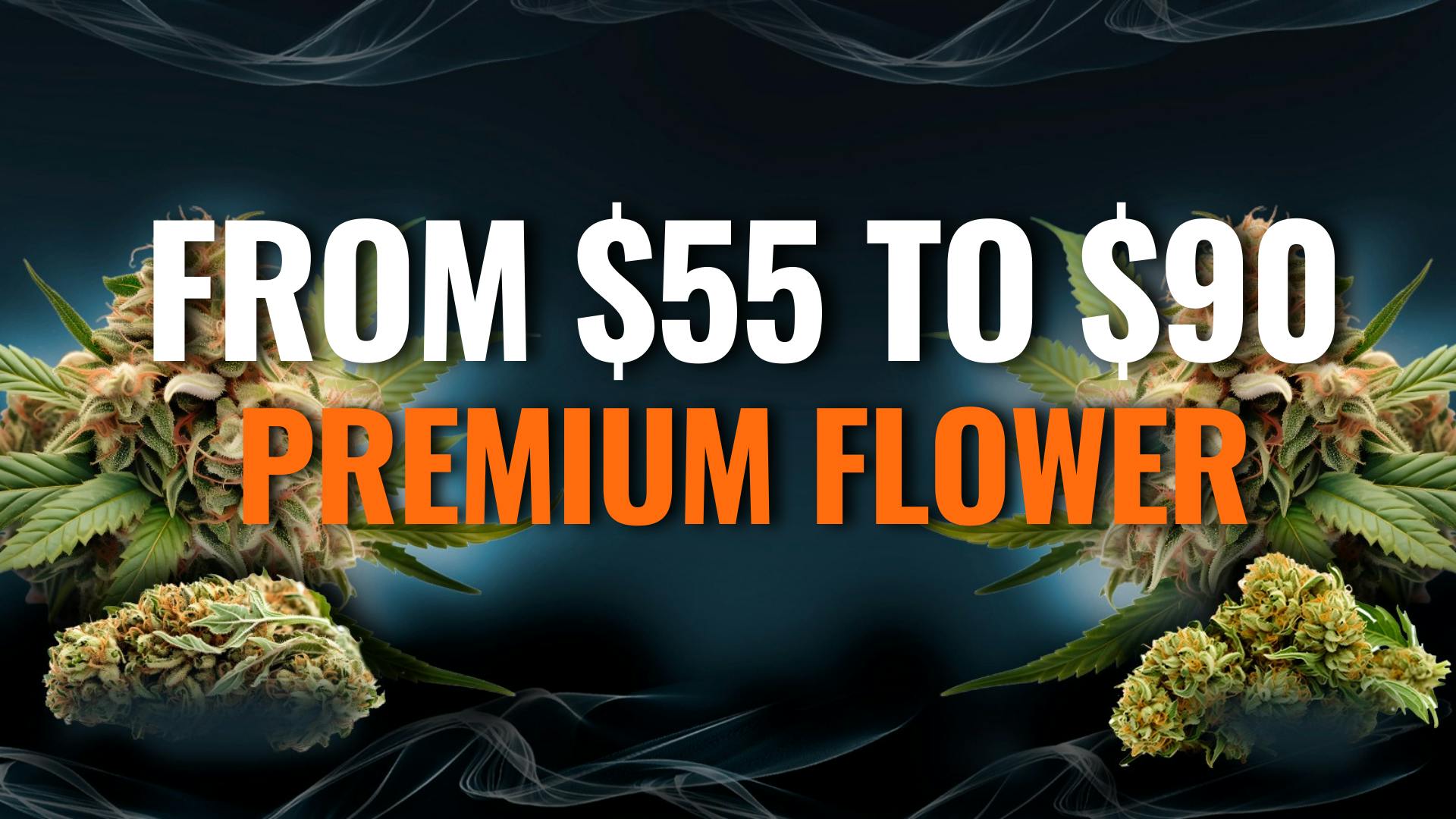 Pegasus “Fly High Fly Pure” listing banner