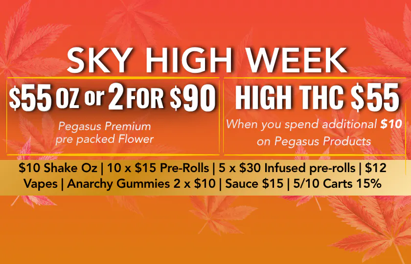 Pegasus “Fly High Fly Pure” listing banner