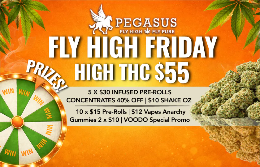 Pegasus “Fly High Fly Pure” listing banner