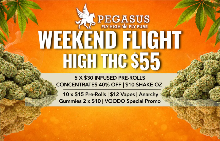 Pegasus “Fly High Fly Pure” listing banner