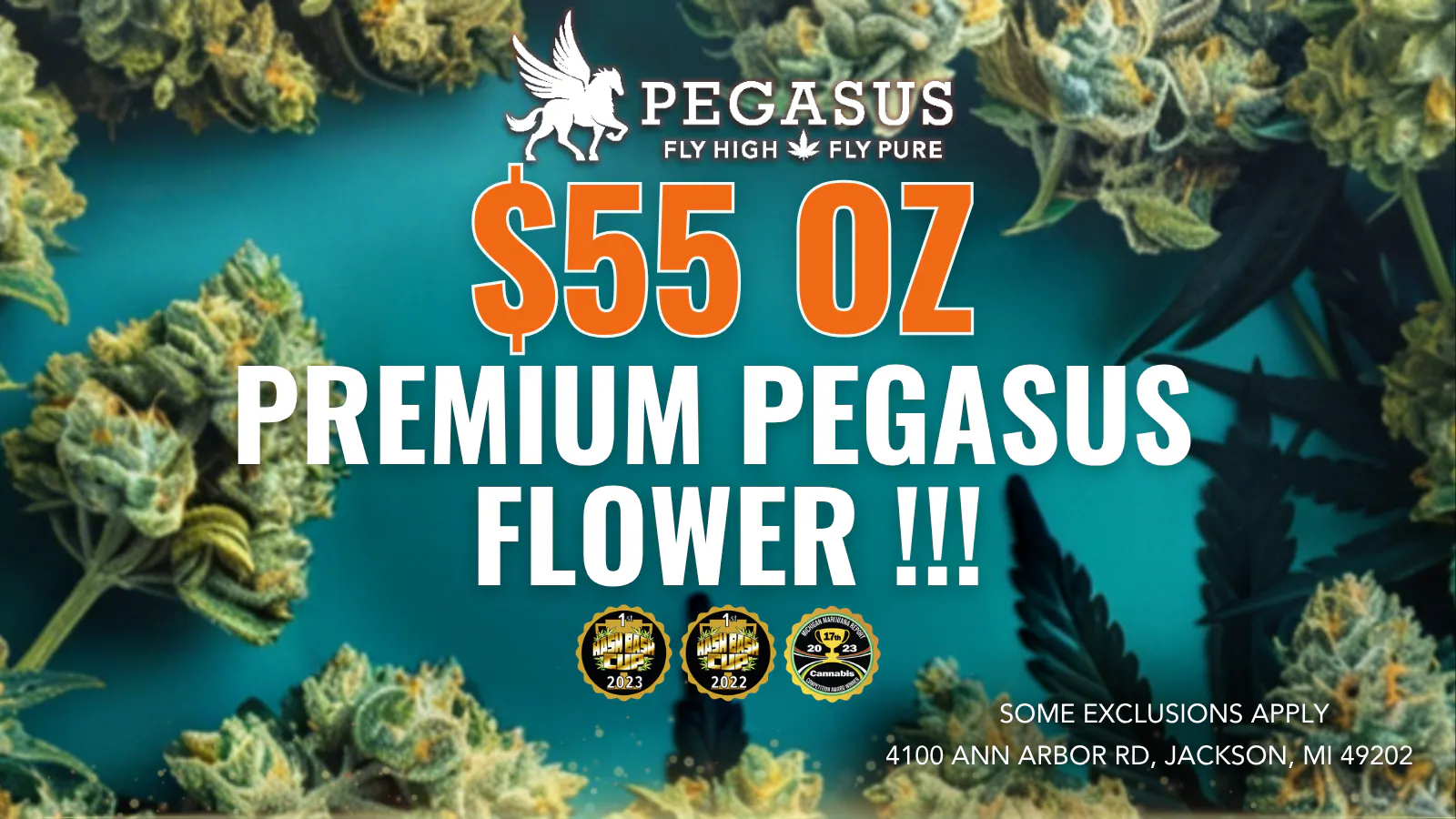 Pegasus “Fly High Fly Pure” listing banner