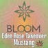 Bloom Cannabis Co - Mustang