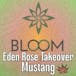 Bloom Cannabis Co - Mustang