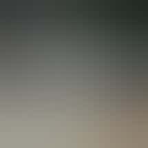 The Syndicate - Long Beach