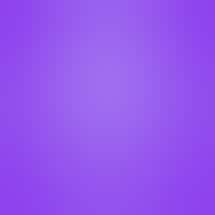 Purple Tree Cannabis