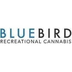 Bluebird Cannabis - Winchester