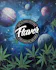Flavor Factory PR Dispensary