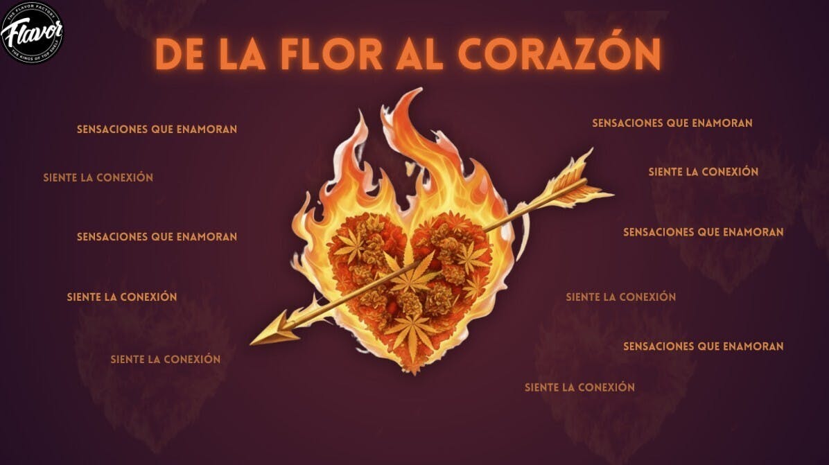 Flavor Factory PR Dispensary listing banner