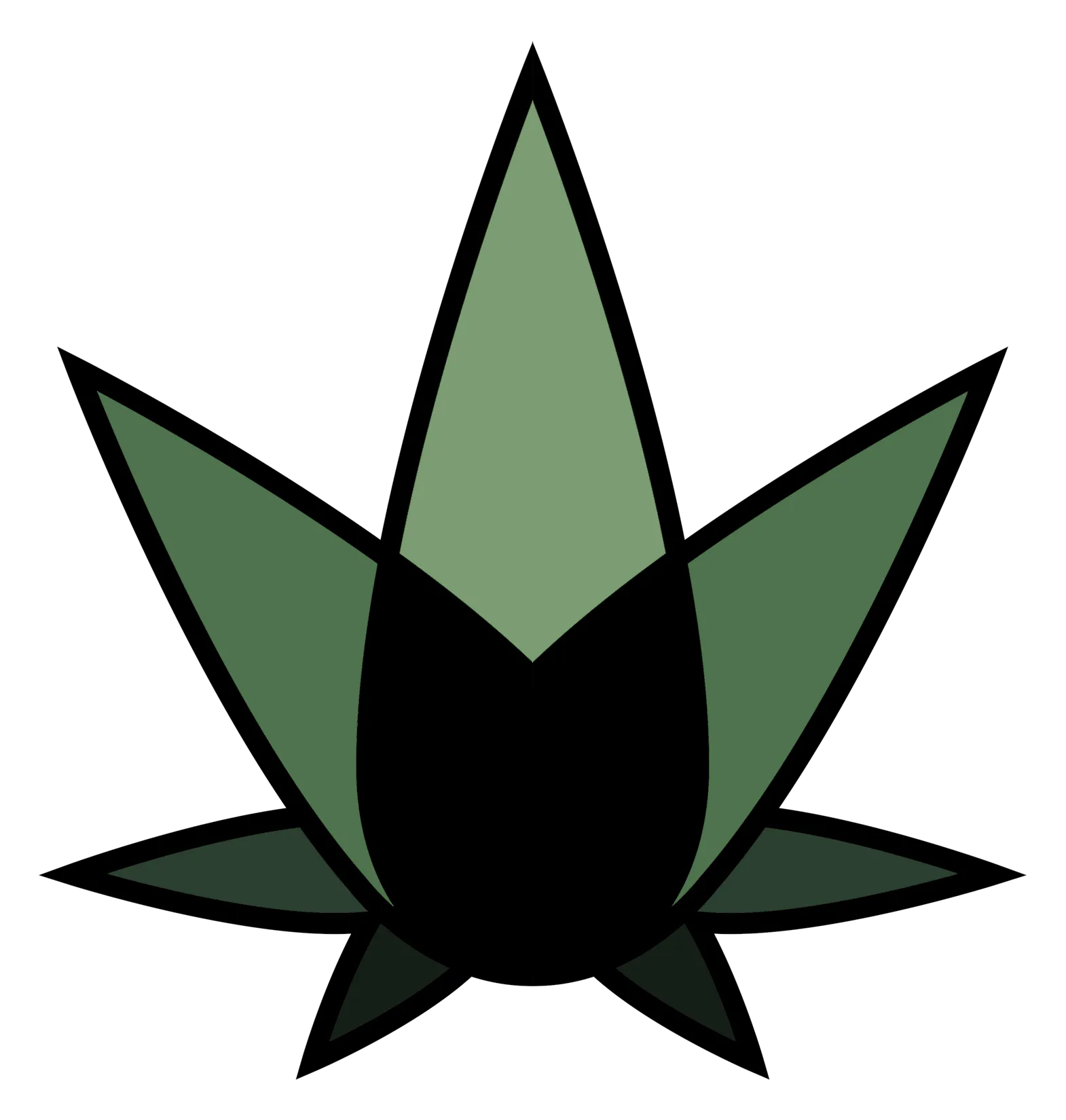 Black Cat Cannabis