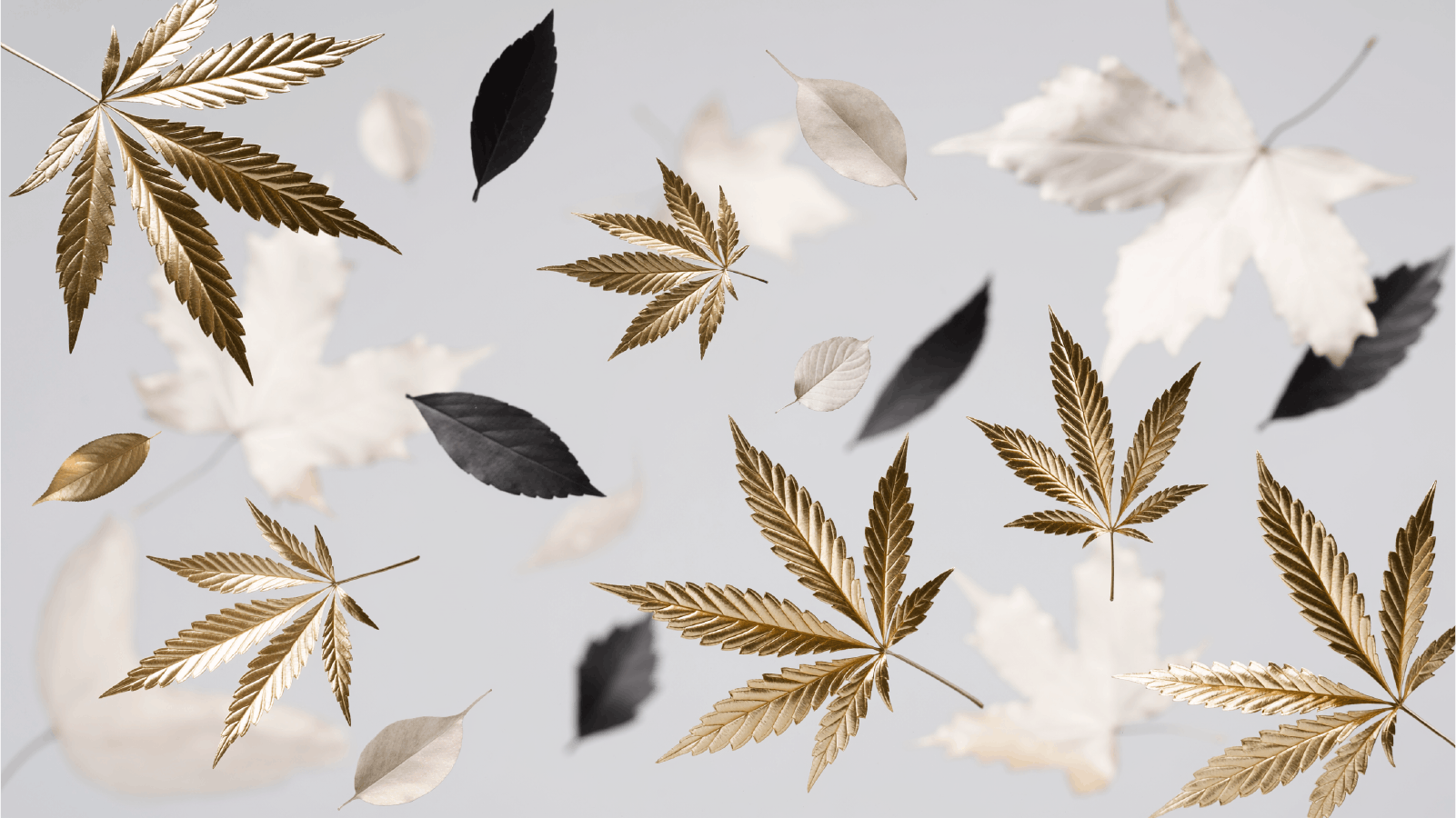 Police & Thieves Weed Dispensary East Colfax listing banner