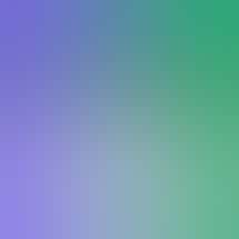 Star Budz - Mt Morris