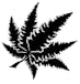 Tree Hill Cannabis