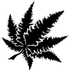 Tree Hill Cannabis