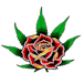 Eden Rose Dispensary