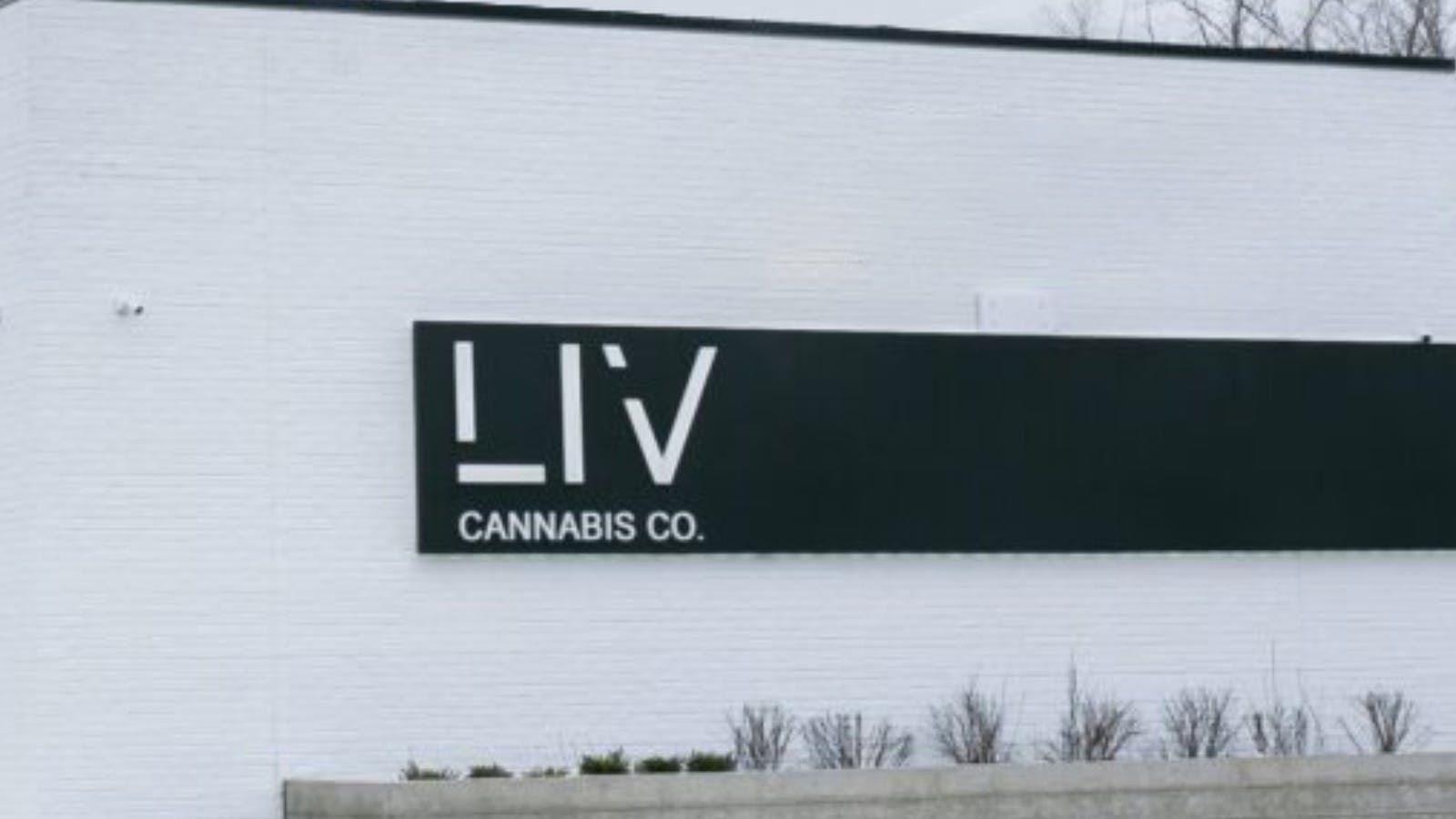 LIV Cannabis: Lansing listing banner